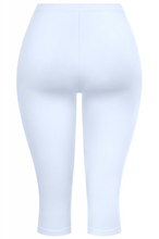 Load image into Gallery viewer, Katrina Capris - Blue
